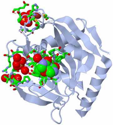 Image Biol. Unit 1 - sites