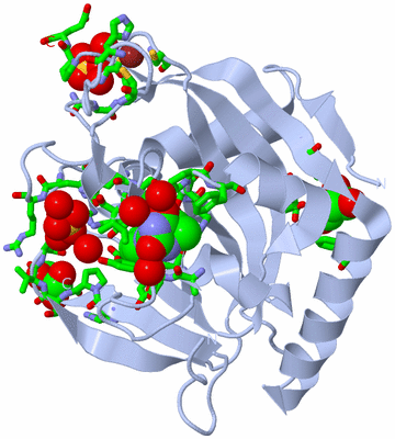 Image Biol. Unit 1 - sites