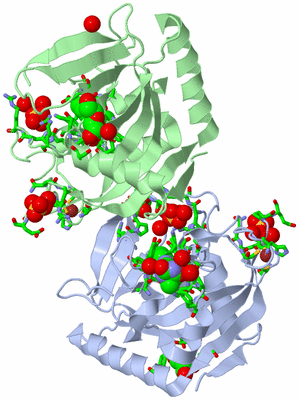 Image Asym. Unit - sites