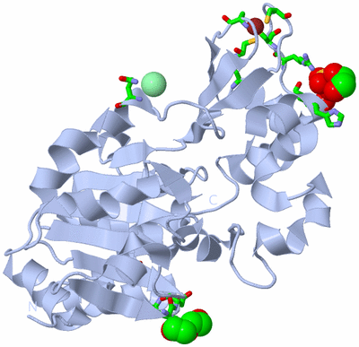 Image Biol. Unit 1 - sites