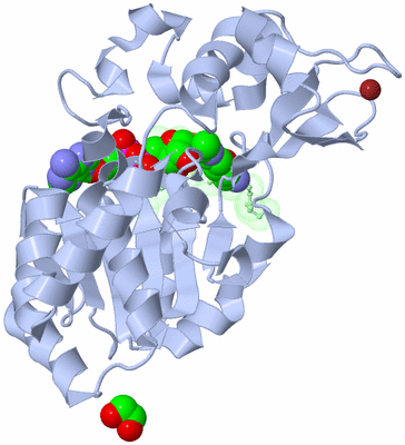 Image Biological Unit 3