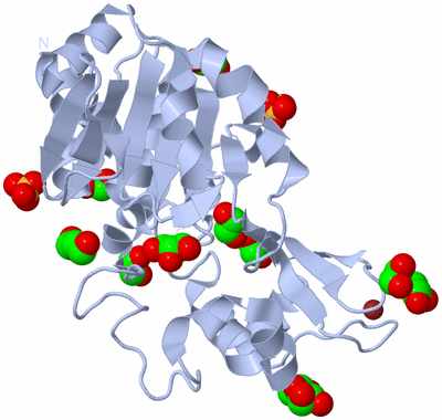 Image Biological Unit 1