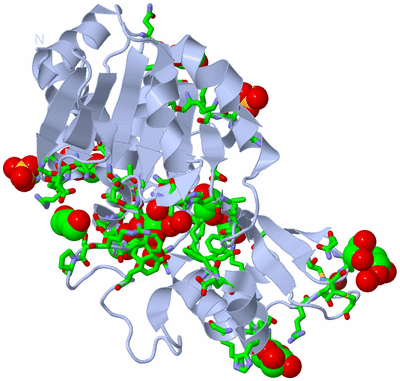 Image Biol. Unit 1 - sites