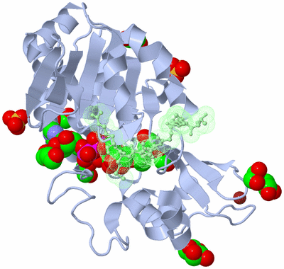 Image Biological Unit 3