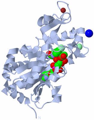 Image Biological Unit 1