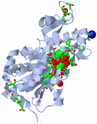 Image Biol. Unit 1 - sites