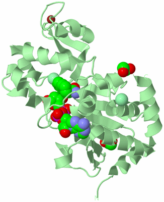 Image Biological Unit 2