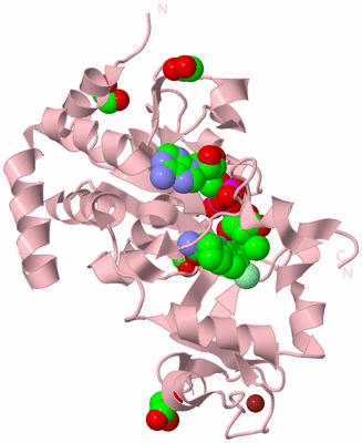 Image Biological Unit 3