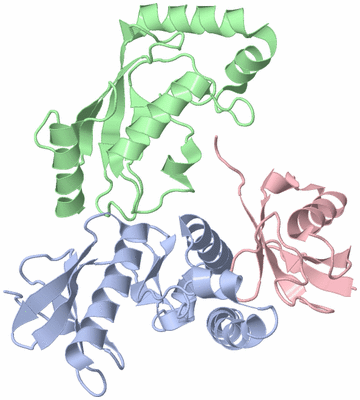 Image Asym./Biol. Unit