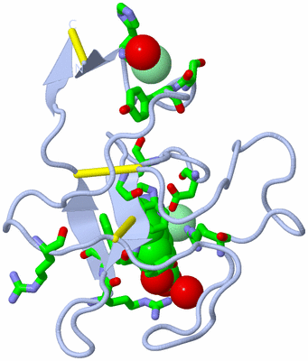 Image Biol. Unit 1 - sites