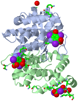 Image Asym./Biol. Unit - sites