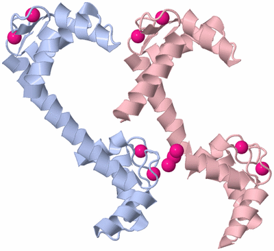 Image Biological Unit 3