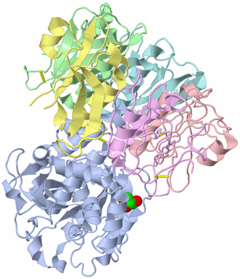 Image Biological Unit 1