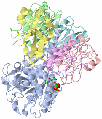 Image Biol. Unit 1 - sites