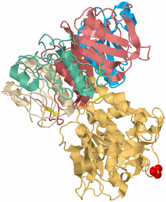 Image Biological Unit 2