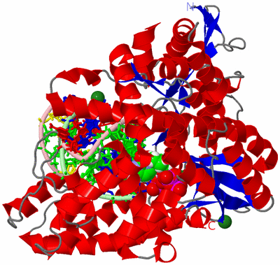 Image Asym./Biol. Unit