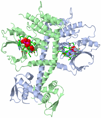 Image Asym./Biol. Unit - sites