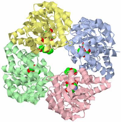 Image Asym./Biol. Unit