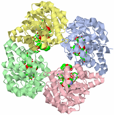 Image Asym./Biol. Unit - sites