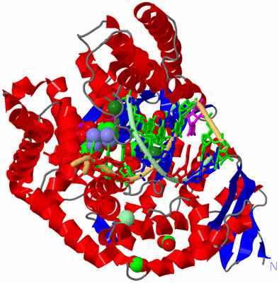 Image Asym./Biol. Unit