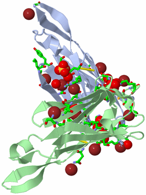 Image Asym./Biol. Unit - sites