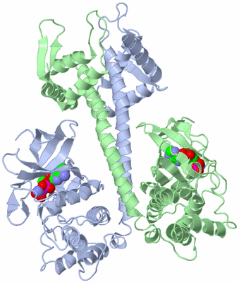 Image Asym./Biol. Unit