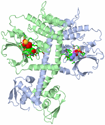 Image Asym./Biol. Unit - sites