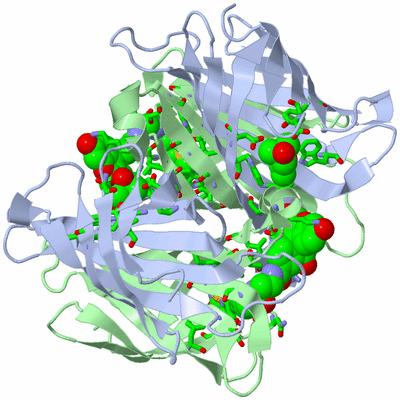 Image Biol. Unit 1 - sites