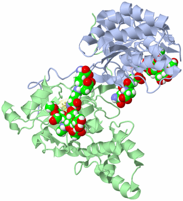 Image Biological Unit 1