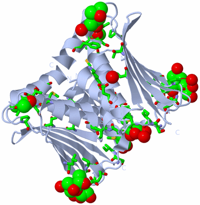 Image Biol. Unit 1 - sites