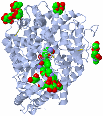 Image Biological Unit 1