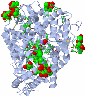 Image Biol. Unit 1 - sites