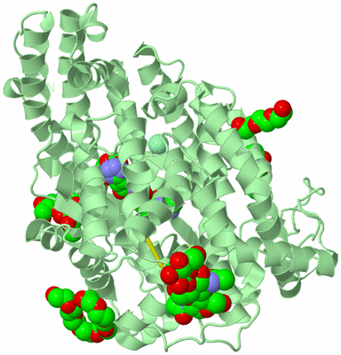 Image Biological Unit 2