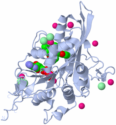 Image Biological Unit 1