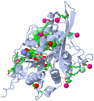 Image Biol. Unit 1 - sites