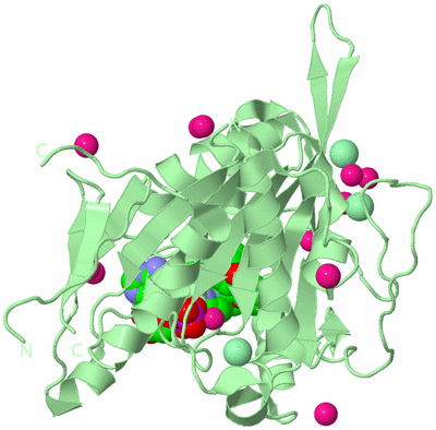 Image Biological Unit 2