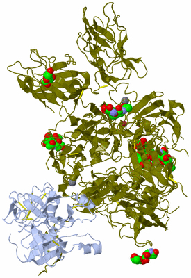 Image Asym./Biol. Unit