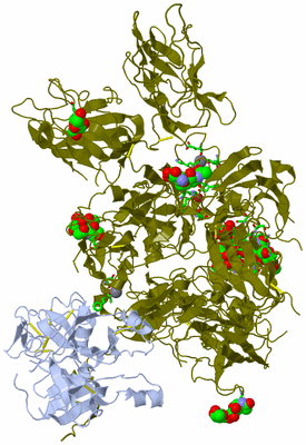 Image Asym./Biol. Unit - sites