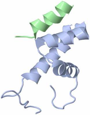 Image NMR Structure - model 1