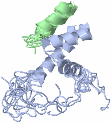 Image NMR Structure - all models