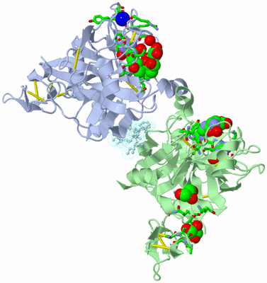 Image Asym./Biol. Unit - sites