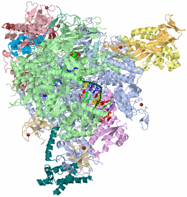 Image Asym./Biol. Unit