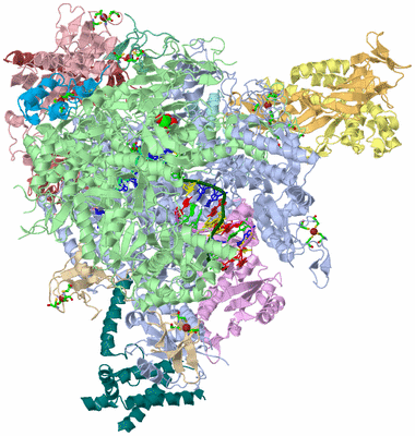 Image Asym./Biol. Unit - sites