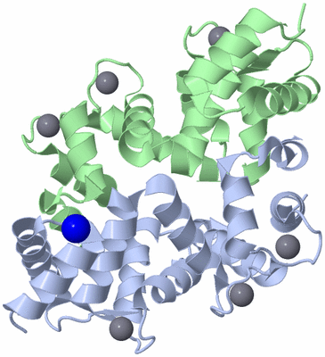 Image Asym./Biol. Unit