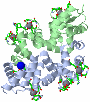 Image Asym./Biol. Unit - sites