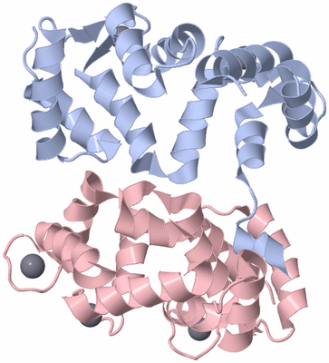 Image Biological Unit 1