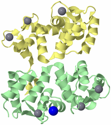 Image Biological Unit 3