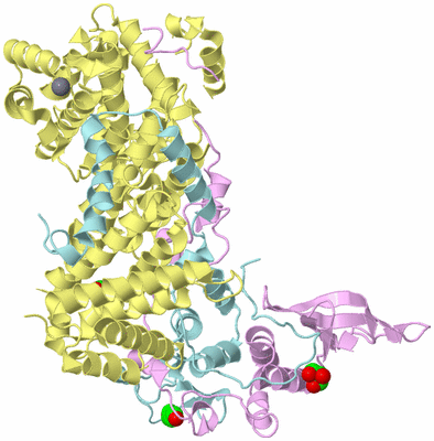 Image Biological Unit 1