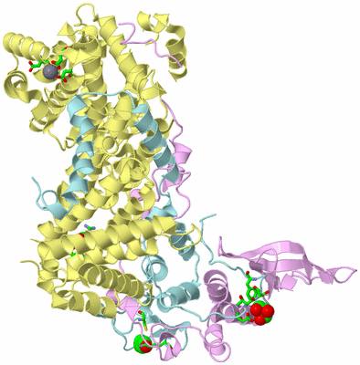 Image Biol. Unit 1 - sites