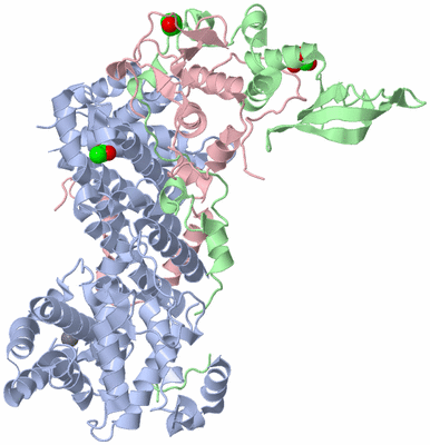 Image Biological Unit 2